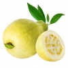 guava