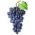 grapes